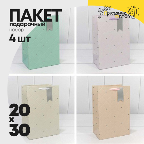Пакет подарочный 20х30х13см "Эксклюзив" с тиснением (Микс)