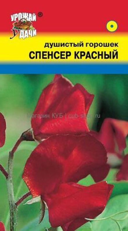 Горошек душистый Спенсер красный