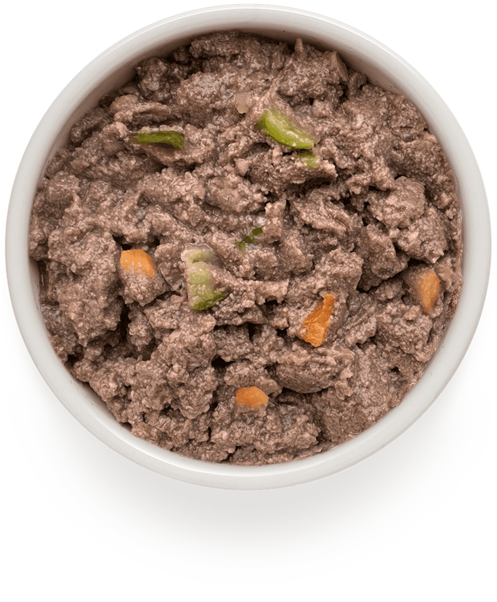 Монопротеиновый влажный корм GRANDORF FRESH для собак всех пород из говядины с цукини и морковью 200г