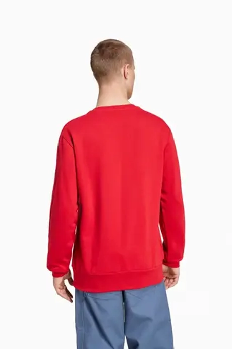 Кофта adidas FC Bayern 24/25 DNA