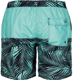Мужские шорты для плавания с принтом в виде пальмовых листьев Doreanse (Размер: S) (Цвет: салатовый)