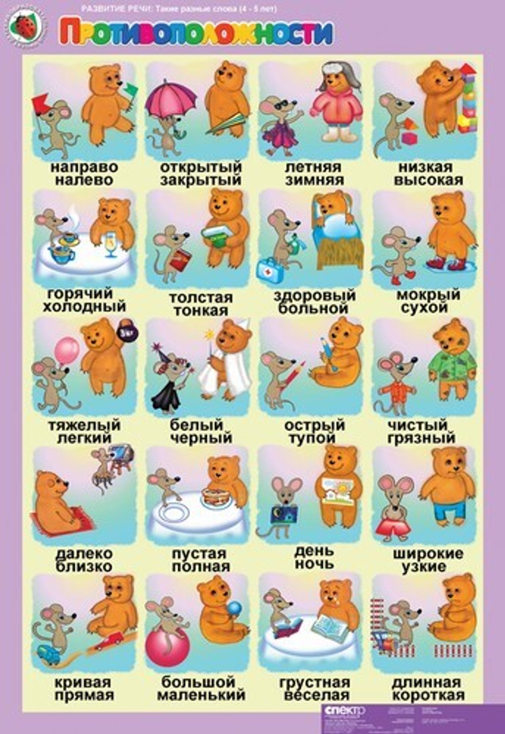 Комплект таблиц Развитие речи 4-5 лет "Такие разные слова" (5 таблиц+16 карт.)