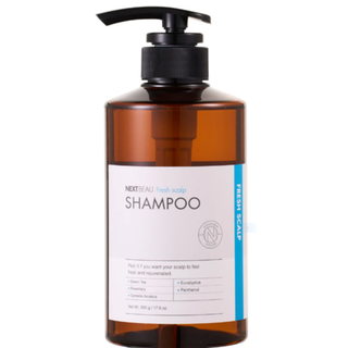 Шампунь для жирных волос с зелёным чаем и розмарином освежающий, NEXTBEAU - Fresh scalp shampoo, 500г