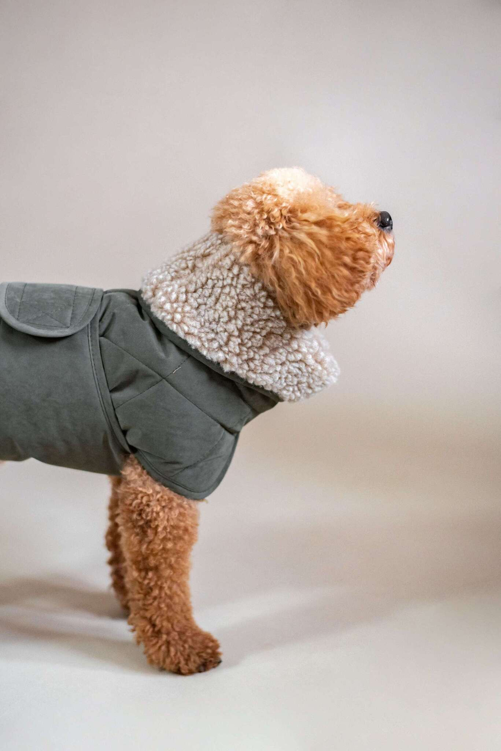 Попона "Пони-эскимони" хаки