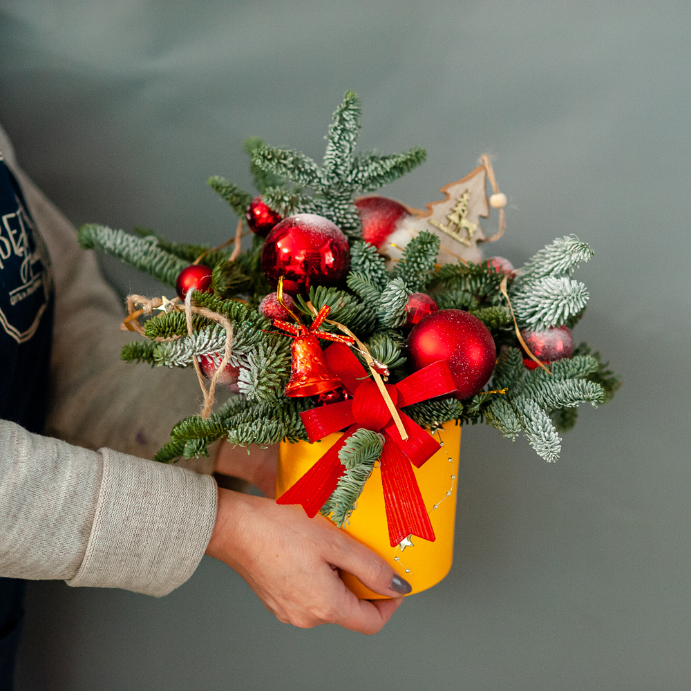 Новогодняя композиция из нобилиса 5