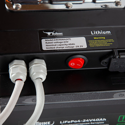 Литий-железо-фосфатный Аккумулятор RuTrike (LiFePo4) 24V40A/H(50A)