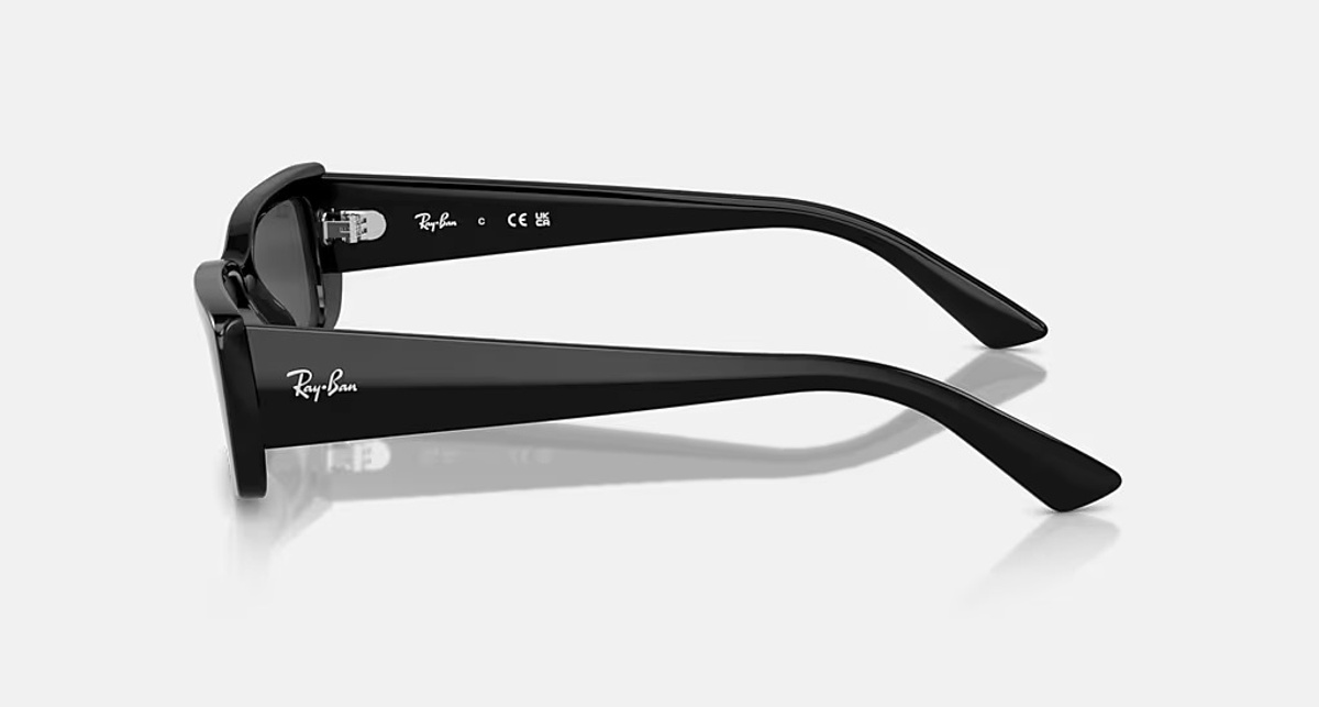 RAY-BAN TERU BIO-BASED RB4425 667787