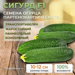 СИГУРД F1 семена огурца (Enza Zaden | Alexagro)