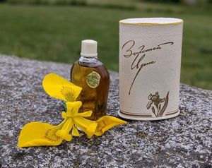 Alye Parusa Golden iris – Золотой ирис