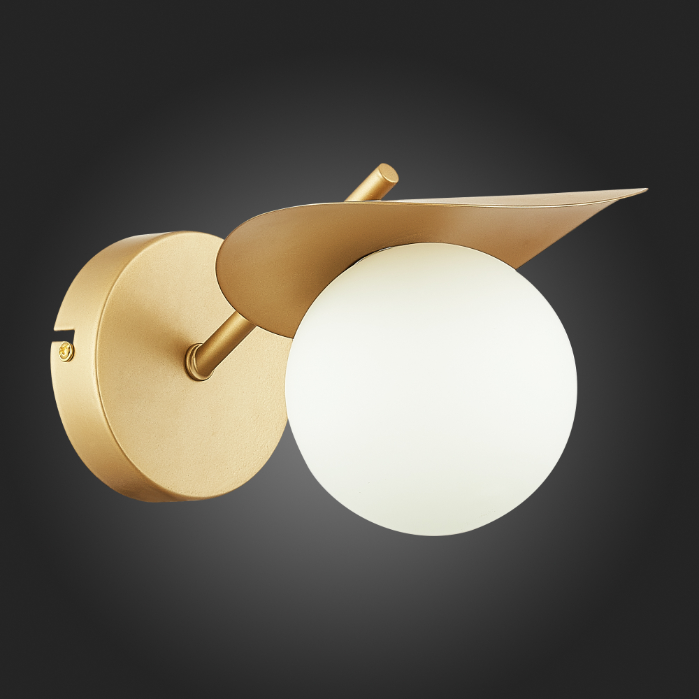 Светильник настенный Evoluce Bolzano SLE220501-01