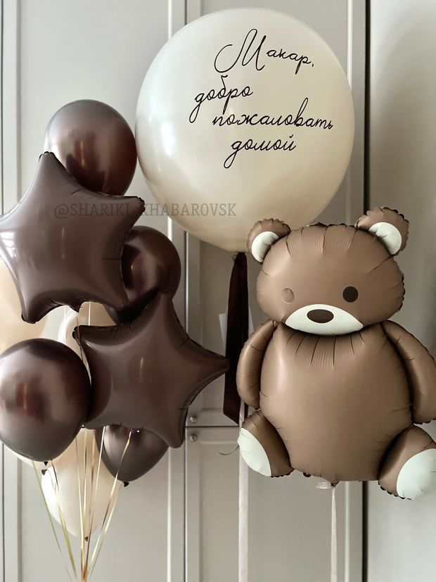 Шары на выписку №8031