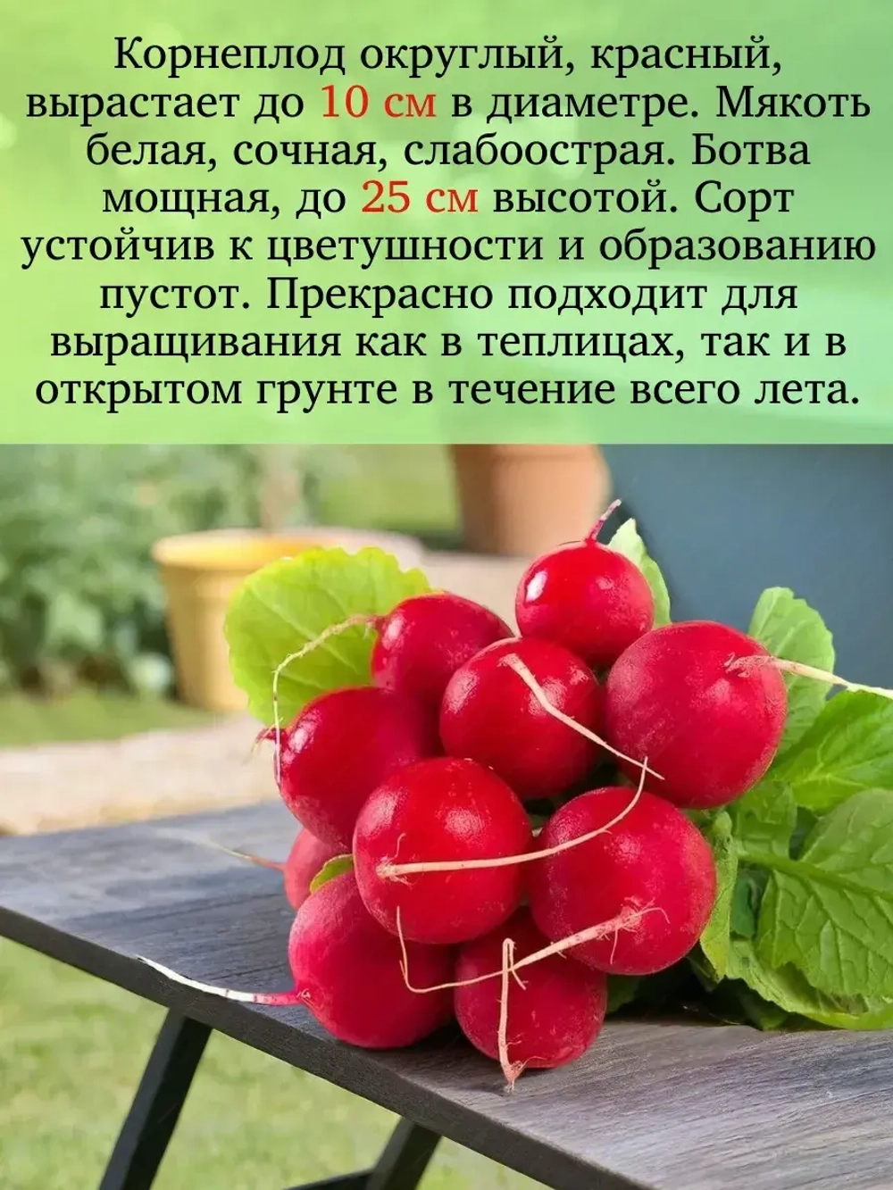 Семена Редиса Набор 20 гр