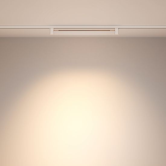 Трековый светильник Technical TR010-1-20W4K-M-W