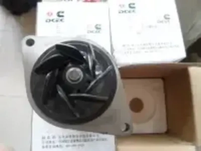 Насос водяной 3800984/4891252