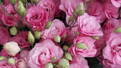 Весна — время чудес и подарков