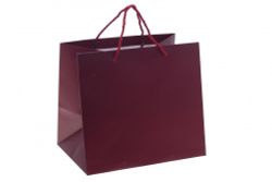 GAEM Пакет подарочный (бумага 230г/м2, блок 12шт), L28 W20 H25 см, 5в.