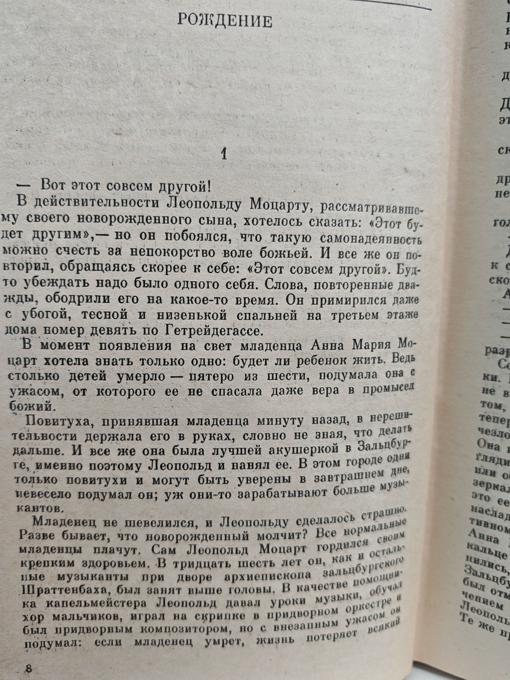 Возвышенное и земное: Роман о жизни Моцарта и его времени