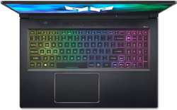 Ноутбук 17.3" Acer Gaming PH317-55-704R (NH.QB7ER.003)