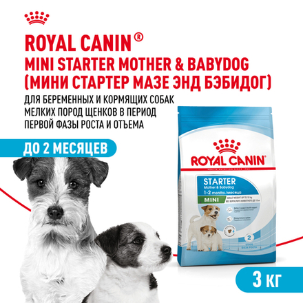 Royal Canin Mini Starter Мини Стартер Корм сухой для собак мелких пород в конце беременности в период лактации для щенков до 2-х месяцев 3кг