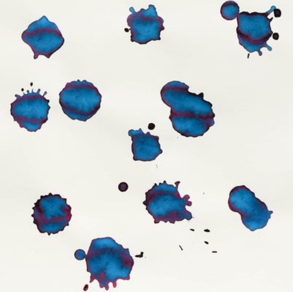 Чернила Sailor Manyo Yomogi 50 мл (13-2009-202) 5