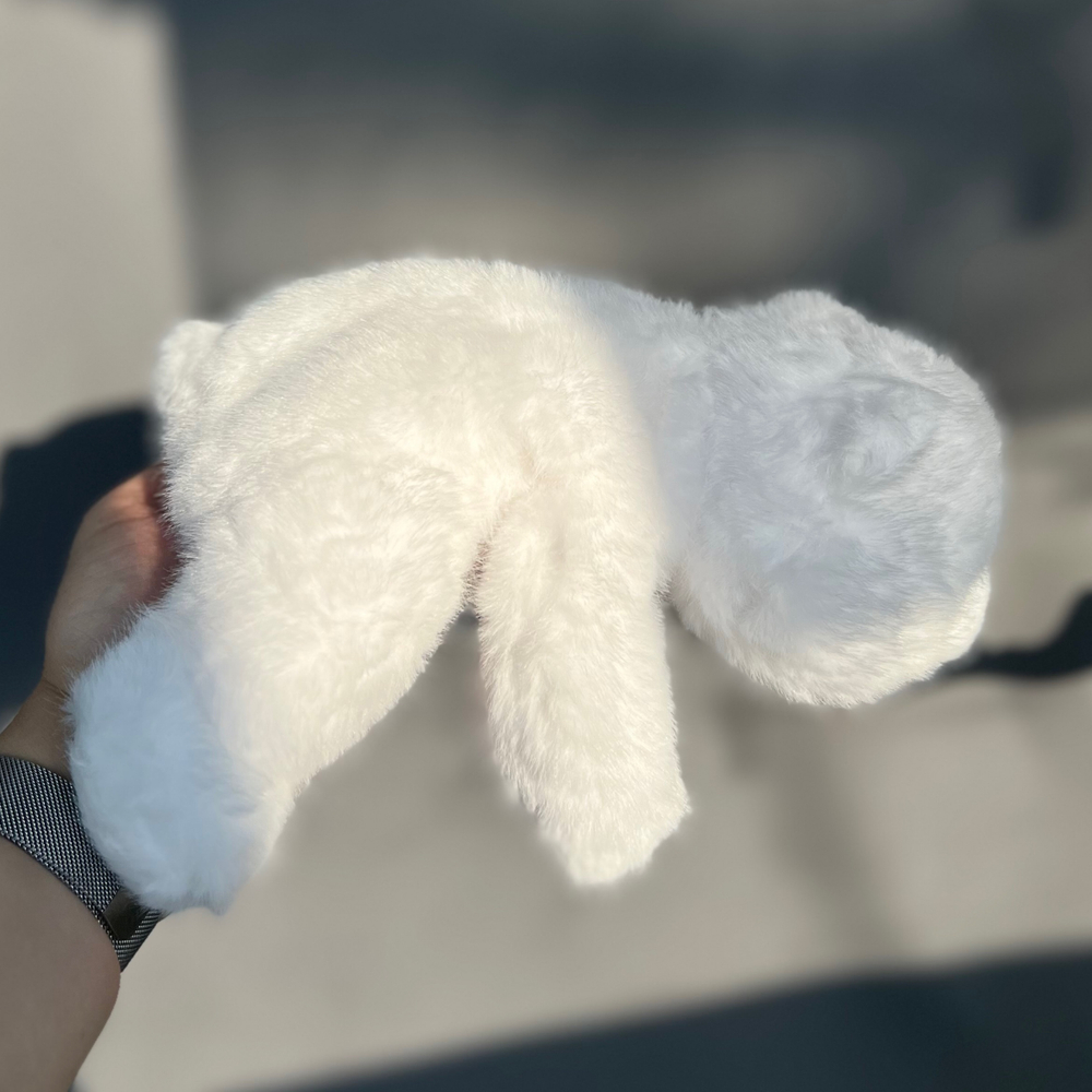 Мишка северный