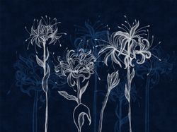 Коллекция SUMMERTIME