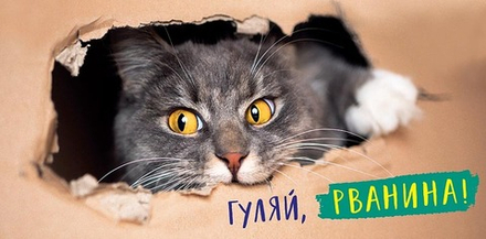 Конверт д/денег "Гуляй рванина"/5шт 0317.603