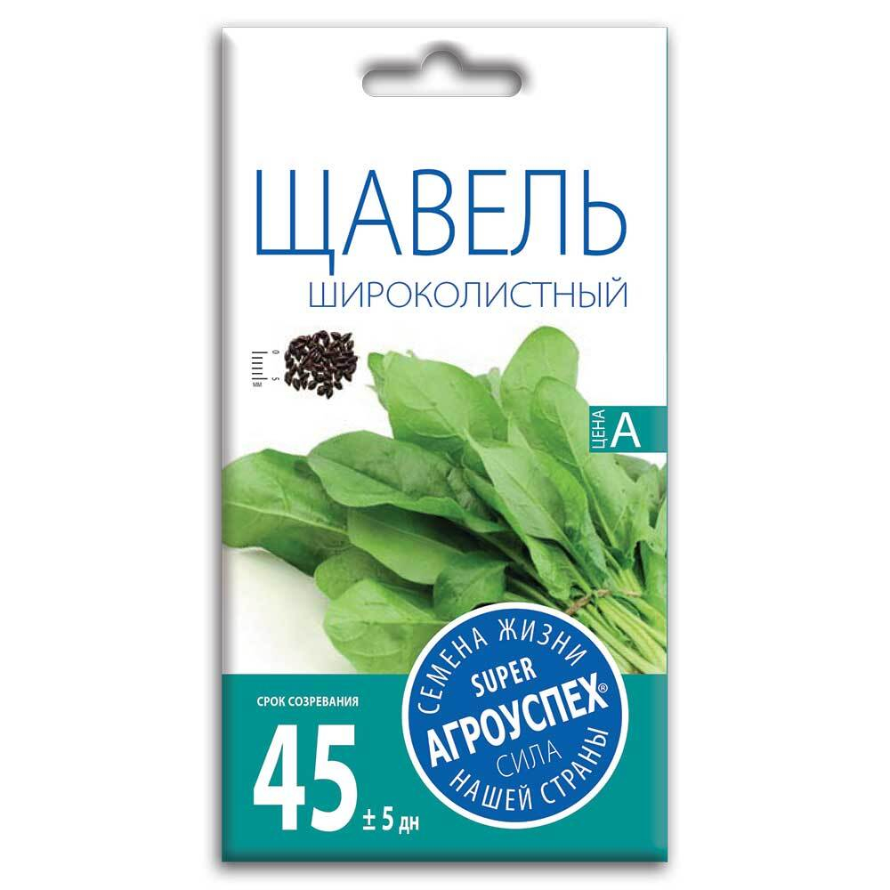 shchavel_shirokolistnyy_semena_agrouspekh_0_5g