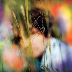 Sam Amidon / Sam Amidon (Coloured Vinyl)(LP)