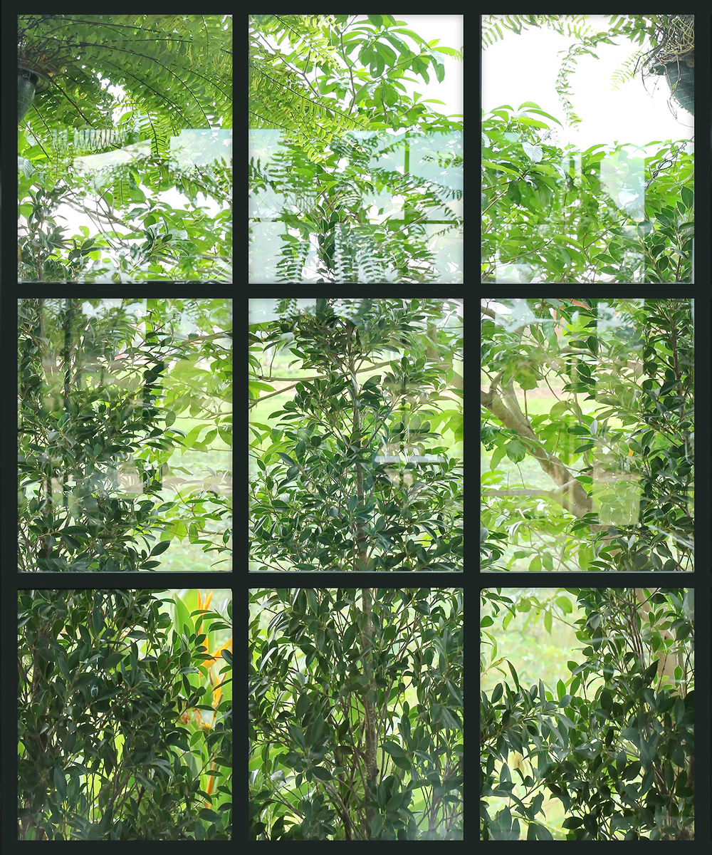 Коллекция FRAME 19