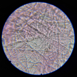 Микроскоп школьный Эврика SMART 40х-1280х в текстильном кейсе