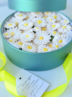 Коробочка «Ромашки» 21 см