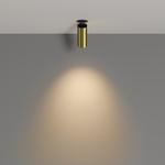 Спот светодиодный Maytoni FOCUS LED C053CL-L12W3K-W-BS
