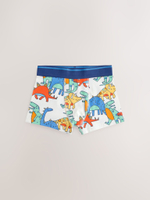 Трусы для мальчика Next E98-881, 5 шт., Оранжевый, Желтый, Синий