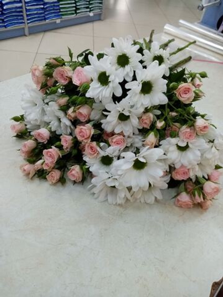 Заказ Anastasia на 28.04