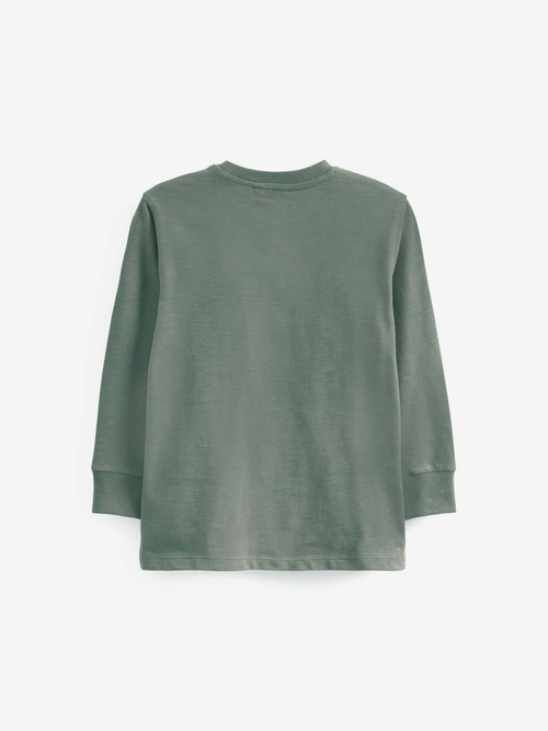 Лонгслив для мальчика Next 517-156, Хаки