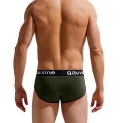 Мужские трусы брифы хаки GAUVINE 2006