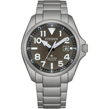 Наручные часы Citizen BN0241-59H