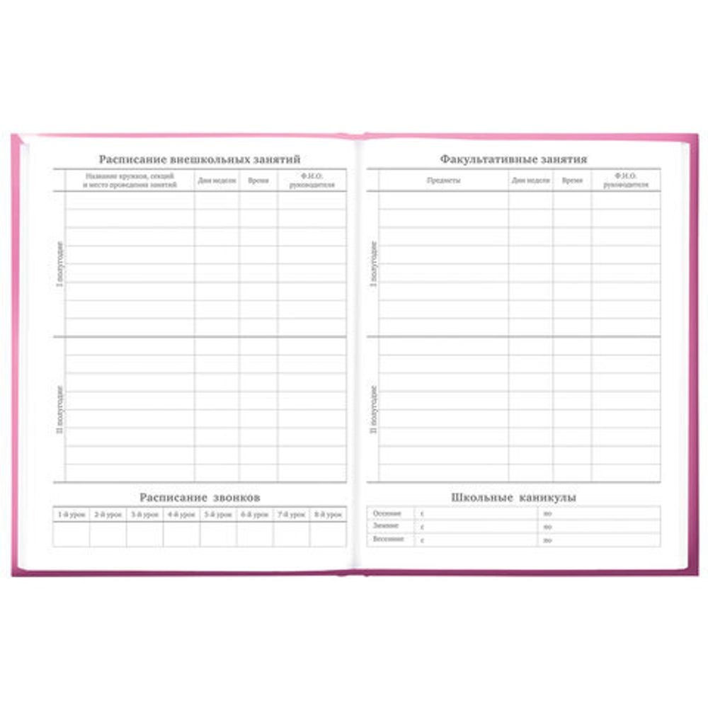 Дневник 5-11 класс 48 л., твердый, BRAUBERG, выборочный лак, с подсказом, "Brings Joy", 107194