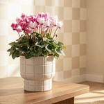 Кашпо КАРЕ D220 мм 3,7 л со вставкой 22*22*20см М3258