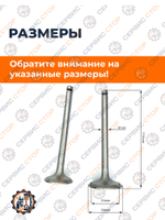 B119-0-190N-RT (2)