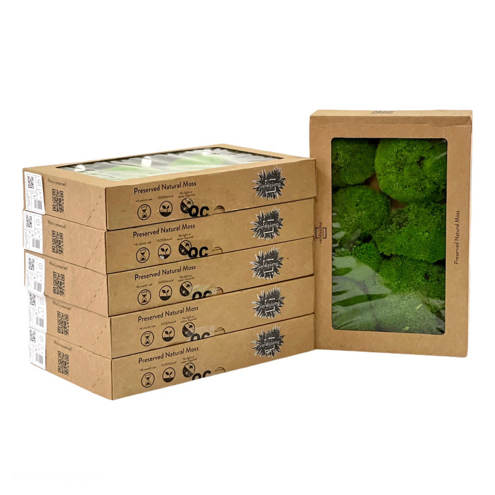 Мох кочкообразный "Verdissimo" New