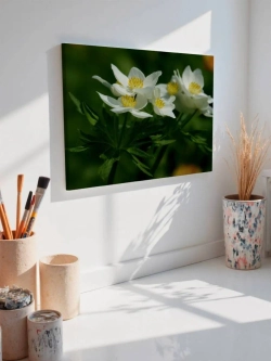 Картина на стену 40 X 50 Цветы