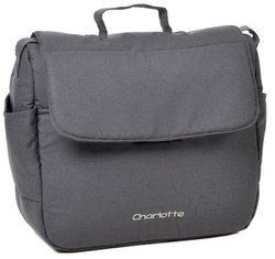 Детская коляска Indigo Charlotte Sity 3 в 1 с автокреслом Avionaut Cosmo Cs 02 т.серый+шалфей