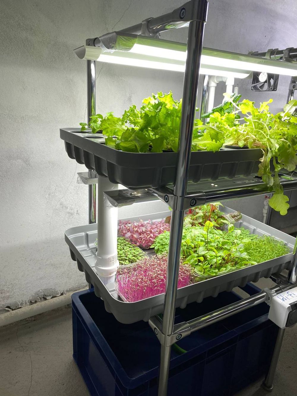 Домашняя гидропонная установка HydroBoss Mini