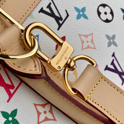 Louis Vuitton Dog Bag