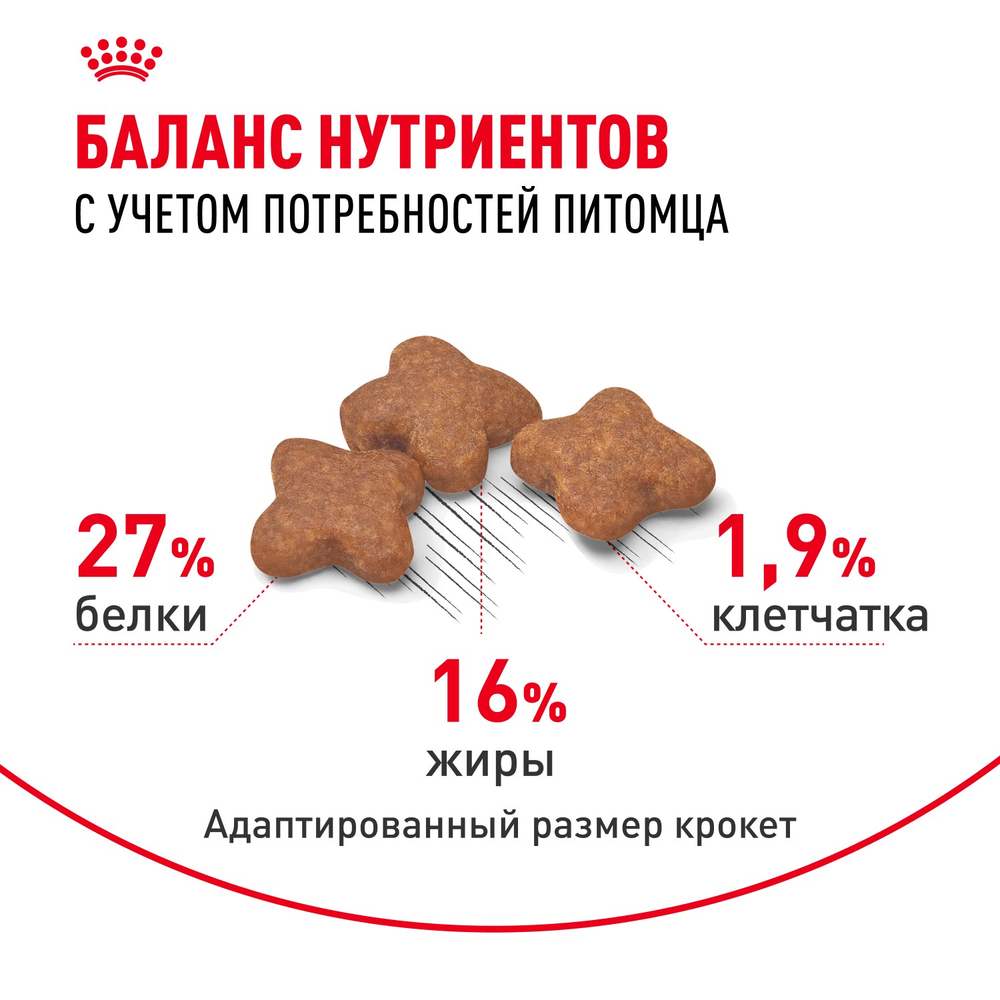 Royal Canin Mini Adult Мини Эдалт Корм сухой для взрослых собак мелких пород от 10 месяцев и старше 4кг