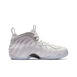 Мужские кроссовки Nike Air Foamposite Pro 'All Star Swoosh Pack' AO0817-001