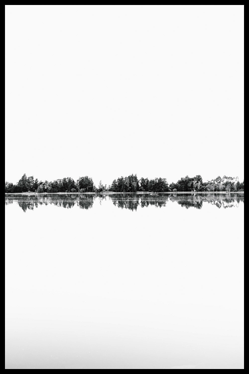 Интерьерная картина в технике цифровой печати. АРТ 040 Черное и белое