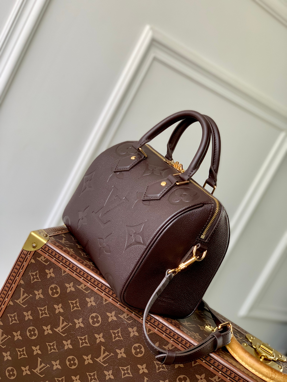 Louis Vuitton Speedy Bandouliere 25
